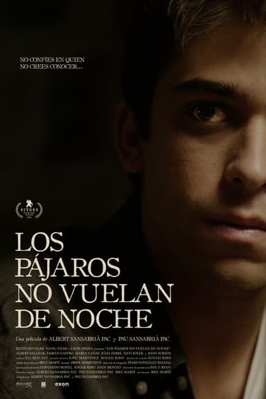 Birds Don’t Fly at Night poster