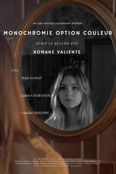 Monochromie Option Couleur poster