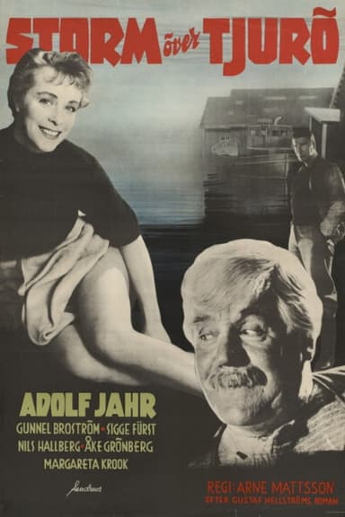 Storm over Tjurö poster
