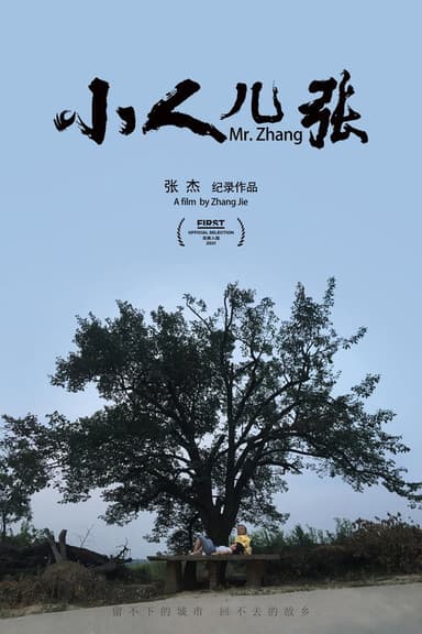 Mr. Zhang poster
