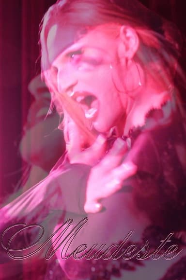 Meudeste poster