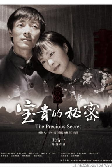 宝贵的秘密 poster