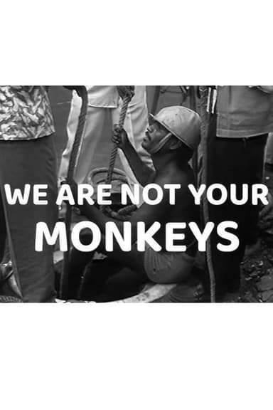 We Are Not Your Monkeys poster