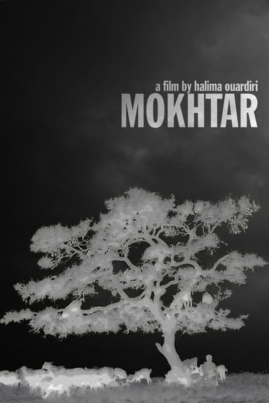 Mokhtar poster