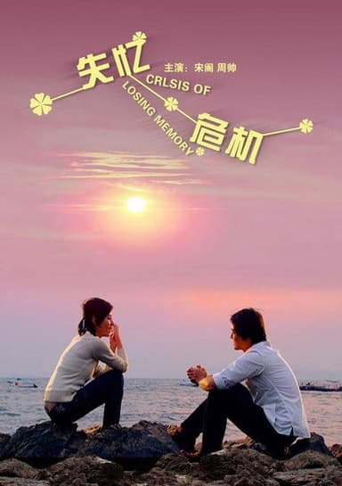 失忆危机 poster