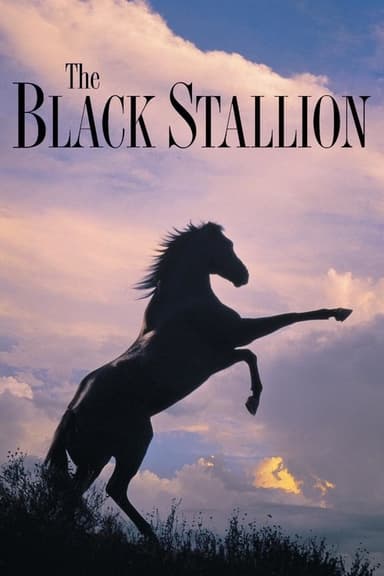 The Black Stallion poster