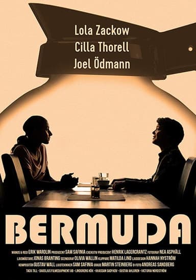 Bermuda poster