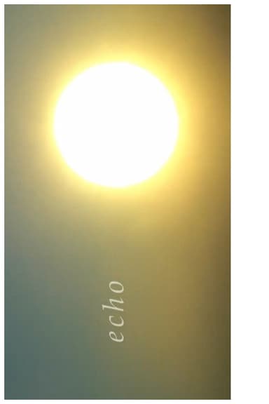echo poster
