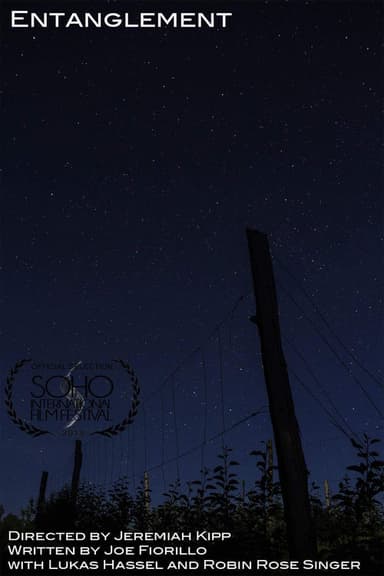 Entanglement poster