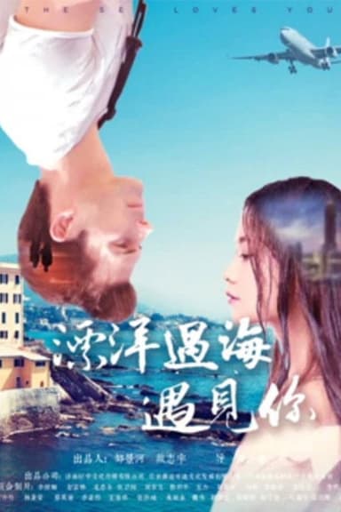 漂洋过海遇见你 poster