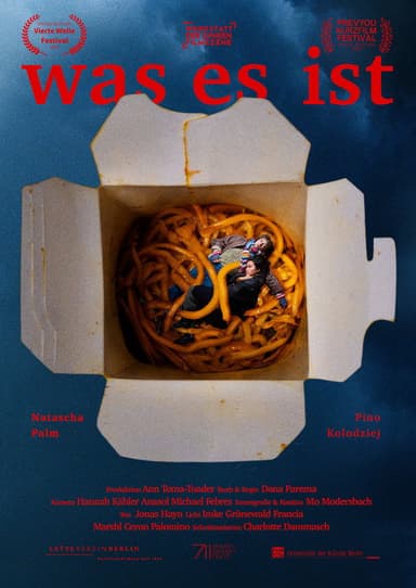 WAS ES IST poster