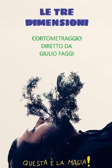 Le tre dimensioni poster