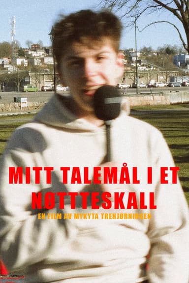 My language in a nutshell poster