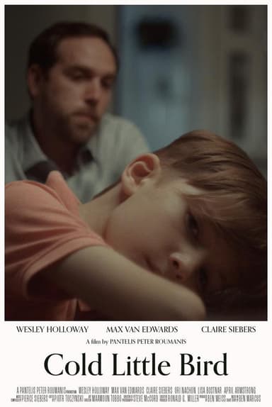 Cold Little Bird poster