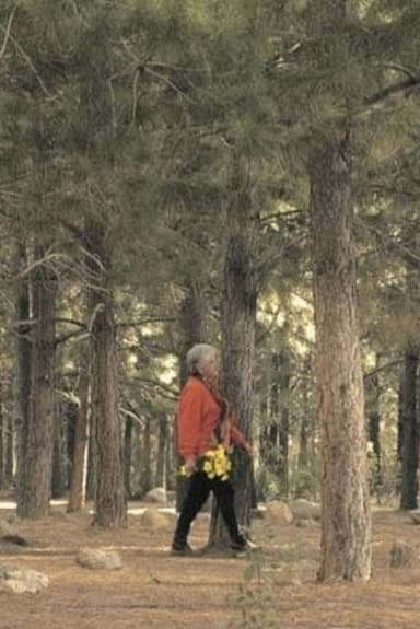 The Path poster