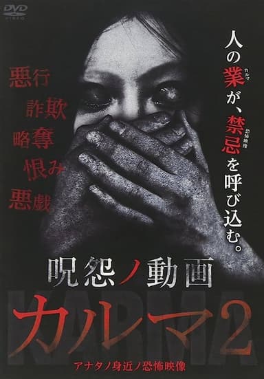 The Grudge: Video Karma 2 poster