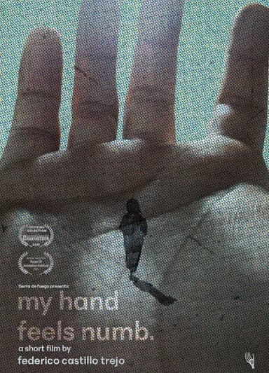 My Hand Feels Numb. poster