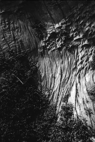 Black River poster