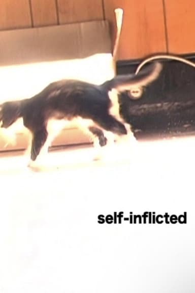 Self-Inflicted poster