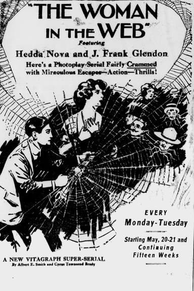 The Woman in the Web poster