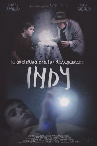 INDY poster