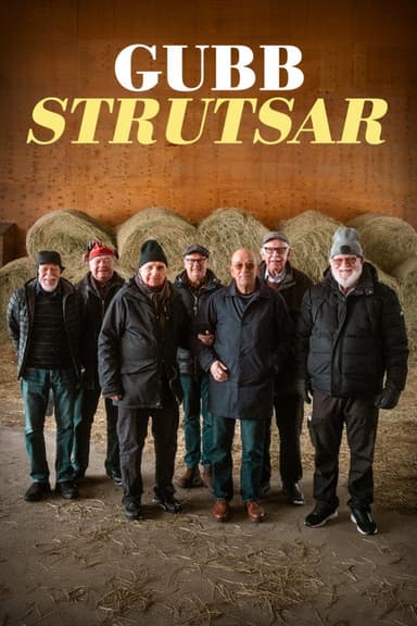 Gubbstrutsar poster