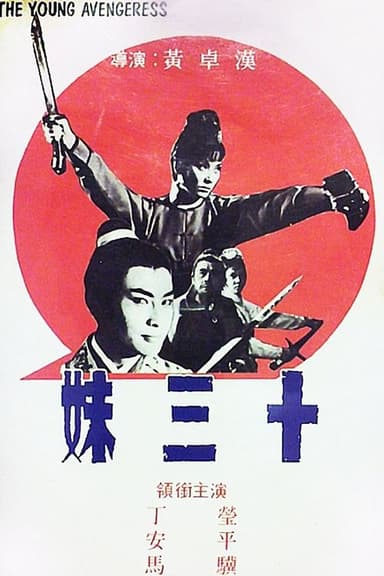 The Young Avengeress poster