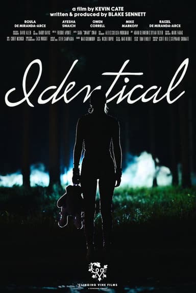 Identical poster