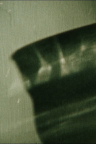 January Fragment poster