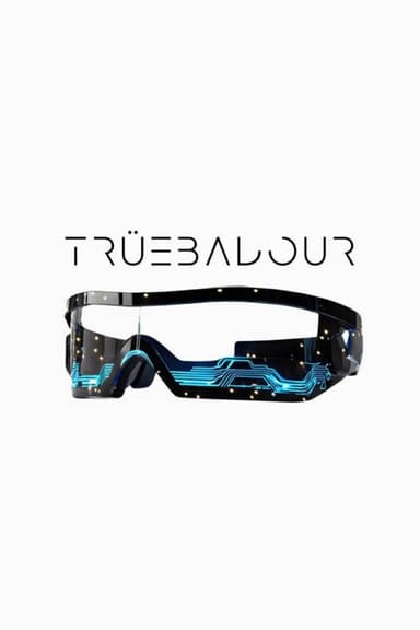 Trüebadour poster