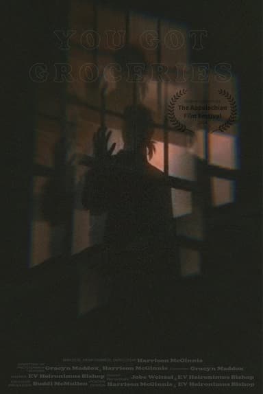 You Got Groceries poster