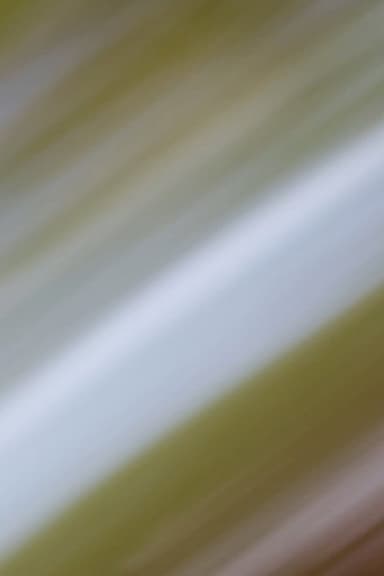In a Circle Around Me, The Sequence of years poster