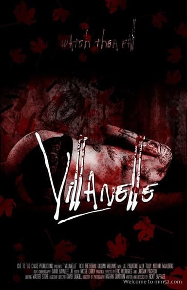Villanelle poster