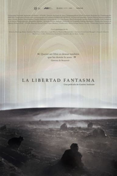 The Phantom Liberty poster