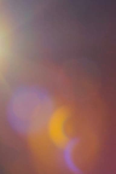 Polly One poster