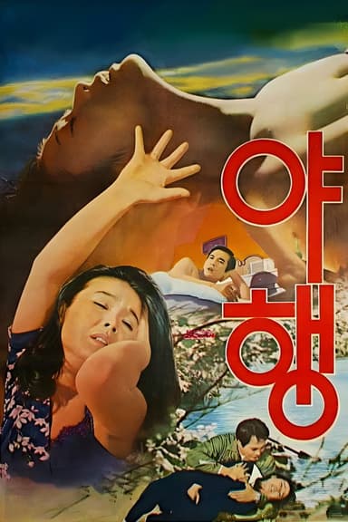 Night Journey poster