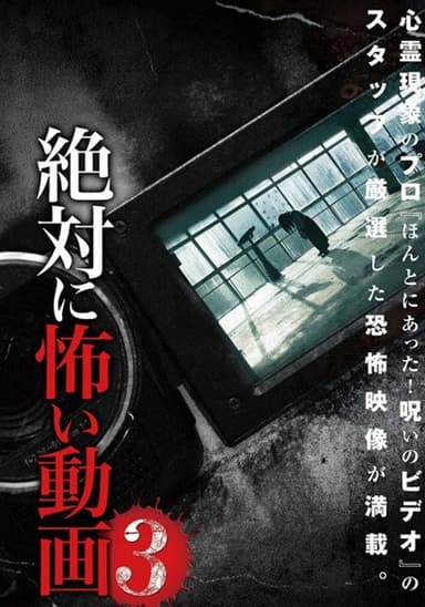 Absolutely Scary Video 3 poster
