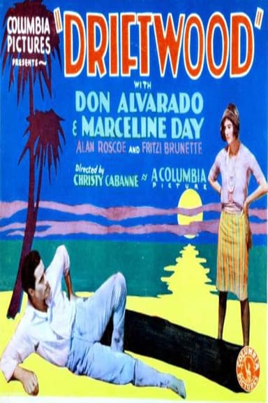 Driftwood poster