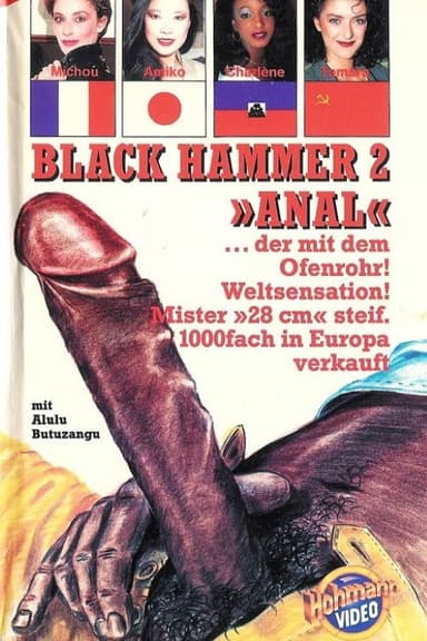 Le Marteau Pilon Anal poster