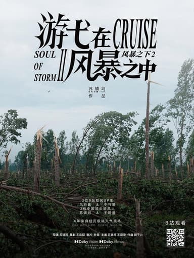 游弋在风暴之中 poster