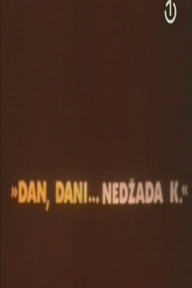 A Day, Days... of Nedzad K. poster