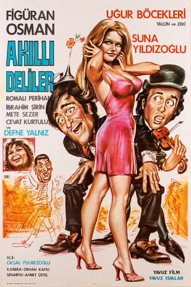 Akıllı Deliler poster