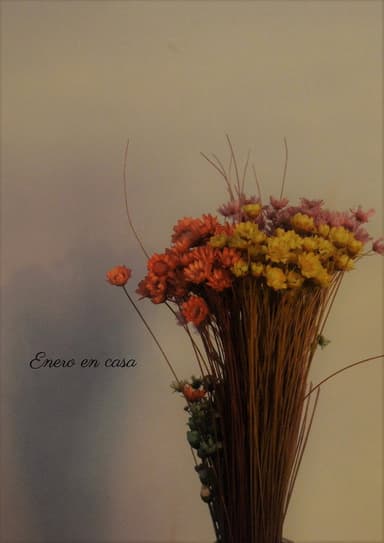 January at home poster