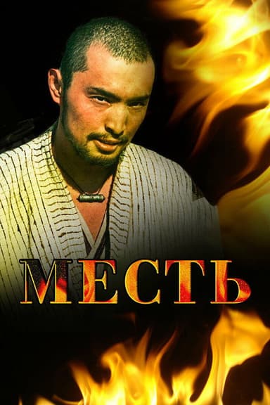 Revenge poster