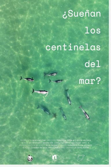 ¿Sueñan los centinelas del mar? poster