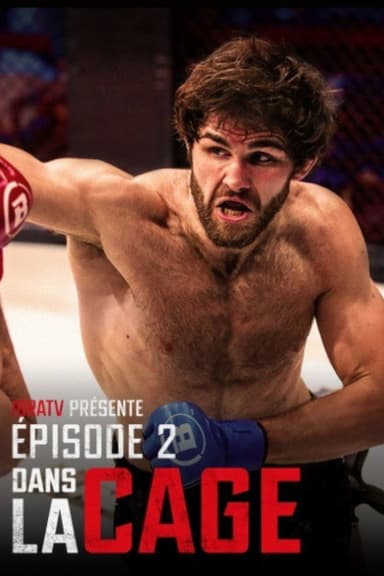 Dans la cage 2 poster