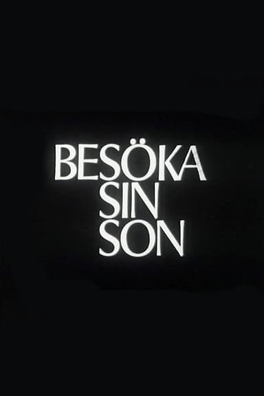 Visiting One's Son poster