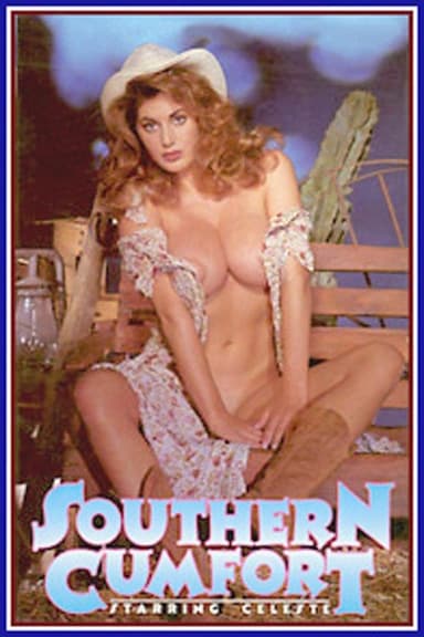 Southern Cumfort poster