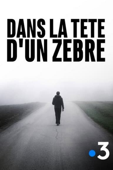 Dans la tête d'un zèbre poster