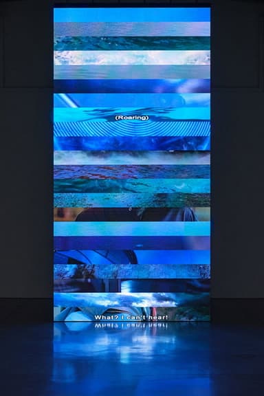 Subtitled poster